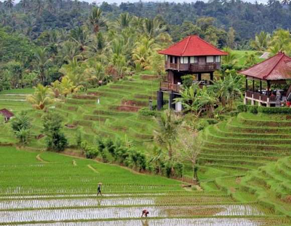 Bali Indonesia Tour Package