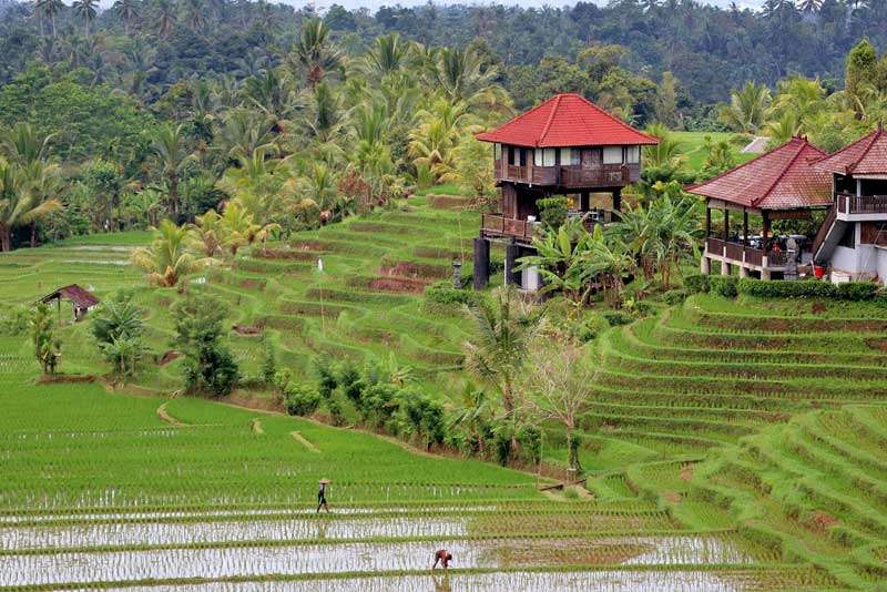 Bali Indonesia Tour Package